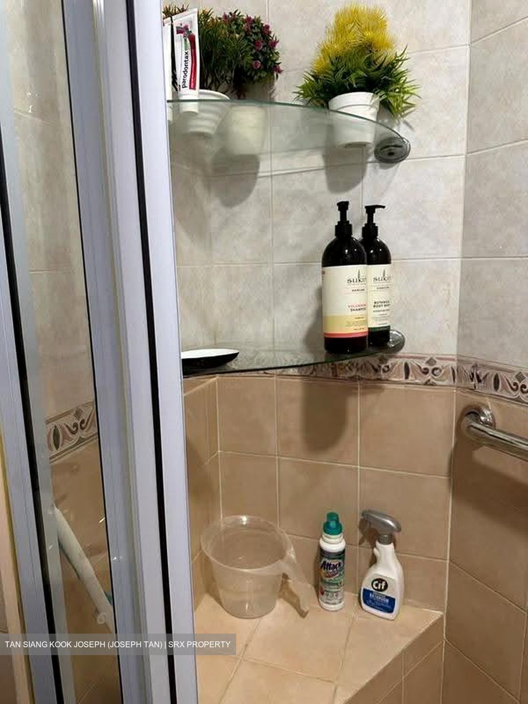 Parc Oasis (D22), Condominium #632684321